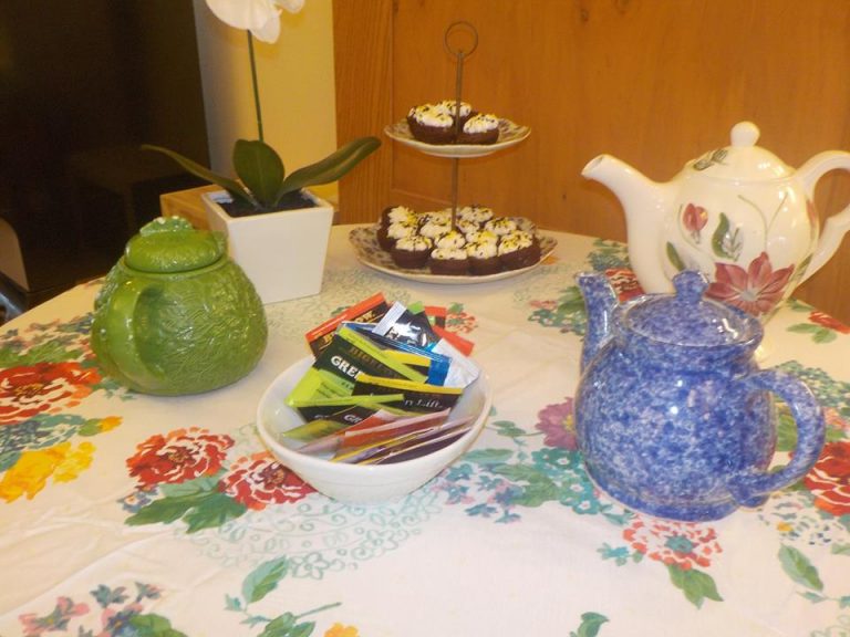 Senior Living Community Photos at Willowick Assisted Living