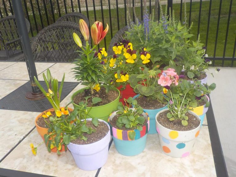 Senior Living Community Photos at Willowick Assisted Living